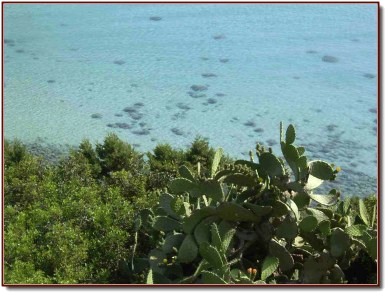 Sardinien Meer