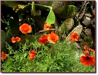 Sardinien Natur